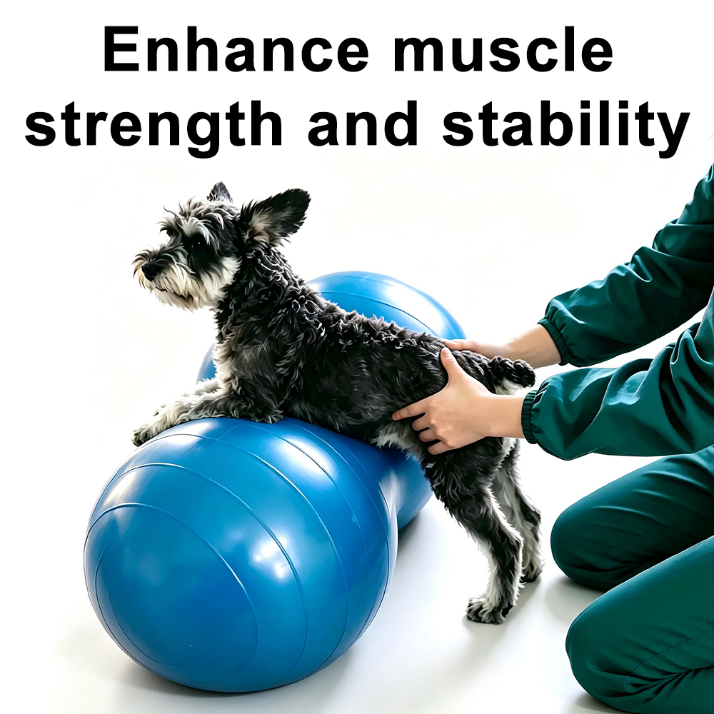 Dog Peanut Shape PVC Yoga Ball - Bosu Ball Balance ulasan dan harga